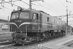 sugi-ef5861