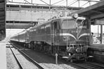 sugi-ef5861