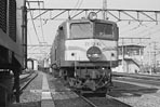 sugi-EF5862
