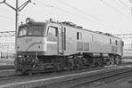 sugi-EF5862
