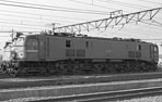 sugi-EF5862