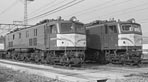 sugi-EF5862
