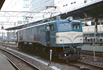 sugi-EF5875