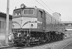 sugi-EF5877