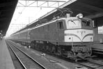 sugi-EF5878