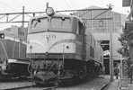 sugi-EF5878