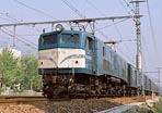 sugi-EF5878