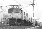 sugi-EF5880