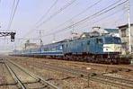 sugi-ef5882