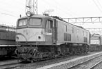 sugi-ef5882