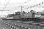 sugi-ef5882