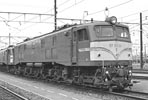 sugi-ef5884