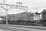 sugi-ef5886