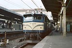 sugi-ef5886