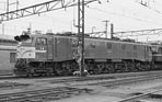 sugi-ef5888