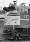 sugi-ef5888