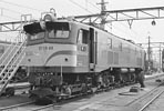 sugi-ef5888