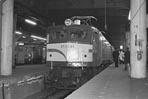 sugi-ef5889
