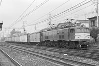 sugi-EF588