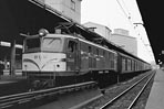 sugi-ef5893