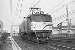 sugi-ef5893