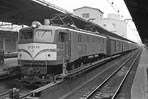 sugi-ef5894
