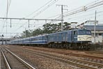 sugi-ef5894