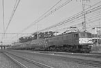 sugi-EF5895