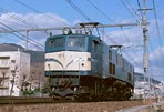 sugi-EF5895