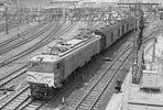 sugi-EF5895