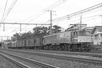 sugi-EF5897