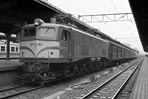 sugi-ef5898