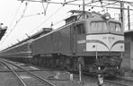 sugi-ef5898