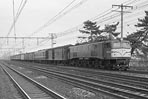 sugi-ef5899
