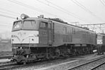 sugi-ef5899