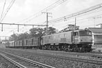 sugi-ef5899