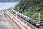 torisugari-ef58149