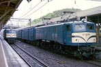 torisugari-ef58118