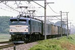 torisugari-EF58134
