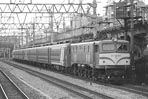 torisugari-EF58160