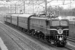 torisugari-ef5861