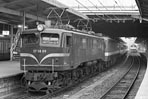 torisugari-ef5889