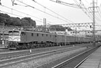 sugi-ef5858
