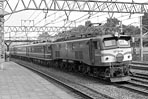 sugi-ef5858
