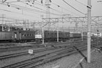 yamamoto-EF58143