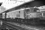 yamamoto-EF5877