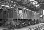 sugi-ef1310