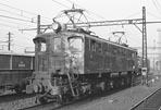 sugi-ef1311