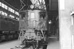 sugi-ef1311
