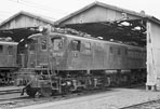 sugi-ef1311